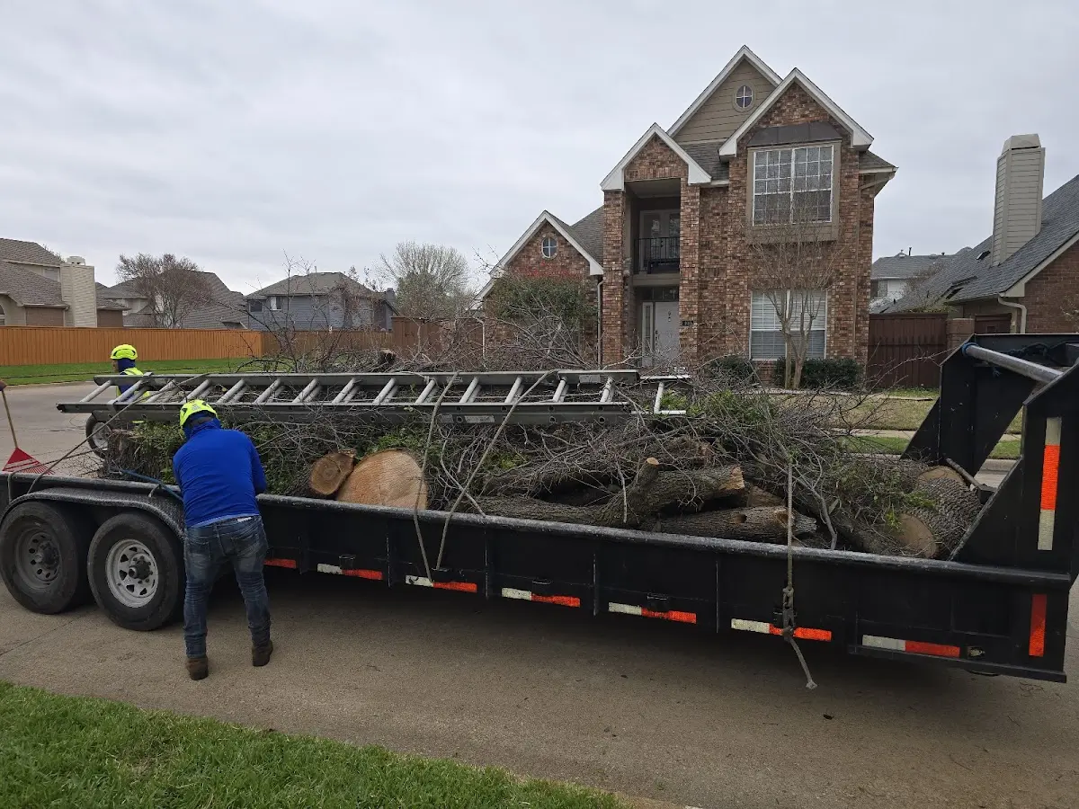 Expert Tree Removal with proper safety equipment in Gibson Island